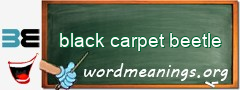 WordMeaning blackboard for black carpet beetle